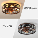 Caged Ceiling Fan with Light 01