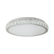 Ceiling Light