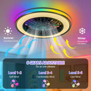Modern LED Ceiling Fan with Light, 20