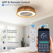 21” Bohemian Ceiling Fan with Light, Remote Control, Silent Motor