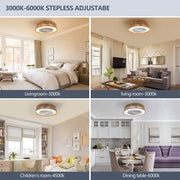 21” Bohemian Ceiling Fan with Light, Remote Control, Silent Motor